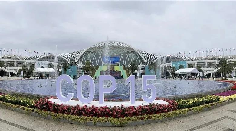 HOME-�ʰ�����ǿ����ƽ̨,��ʡ�����֡�